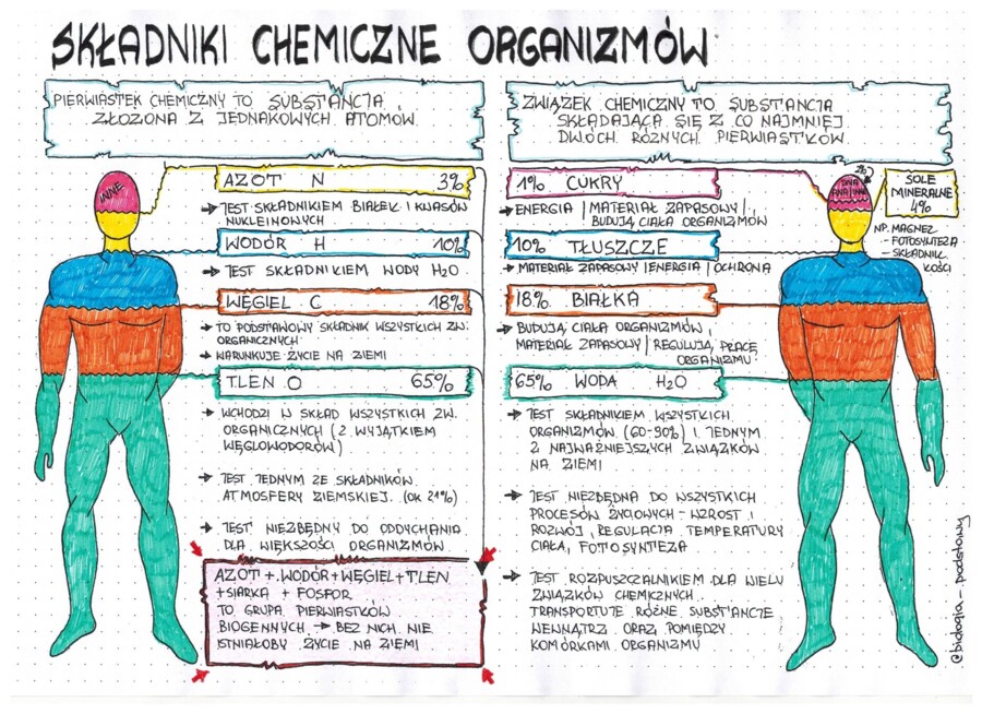 Klasa 5 - Składniki chemiczne organizmów - kolorowa sketchnotka