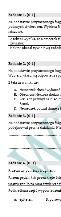 PRÓBNY EGZAMIN Z JĘZYKA POLSKIEGO JUŻ DLA SZÓSTOKLASISTY - CHŁOPCY Z PLACU BRONI