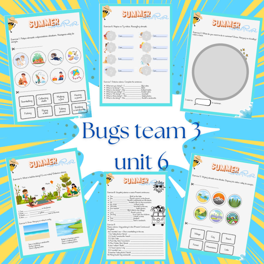 Bugs team 3 unit 6- 13 kart pracy.