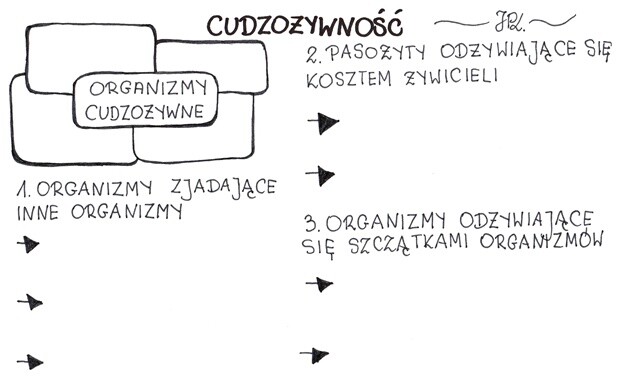 Cudzożywność (karta pracy)