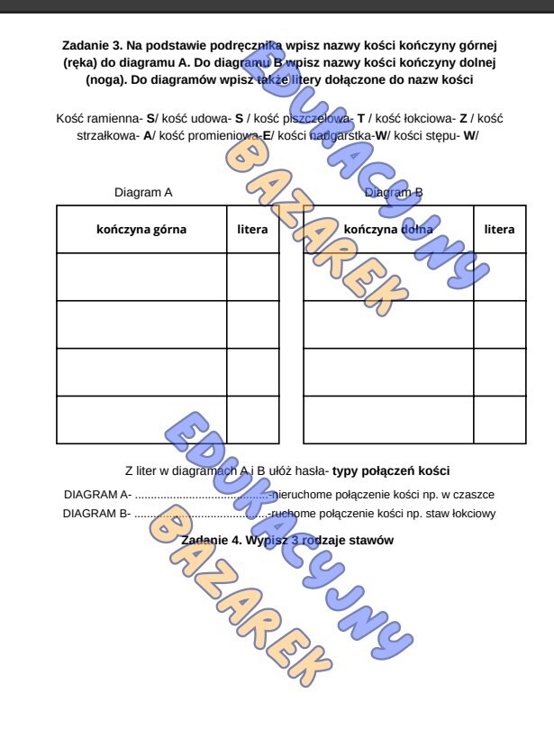 Szkielet człowieka, funkcje, rodzje kości, połączenia kości, biologia klasa7