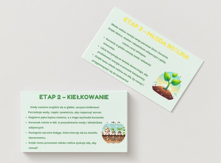 PLANSZA - Cykl życia roślin