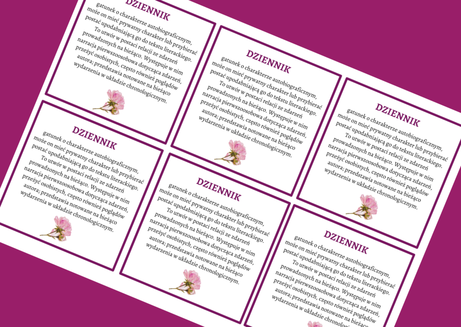 DZIENNIK - epika – cechy – wklejka