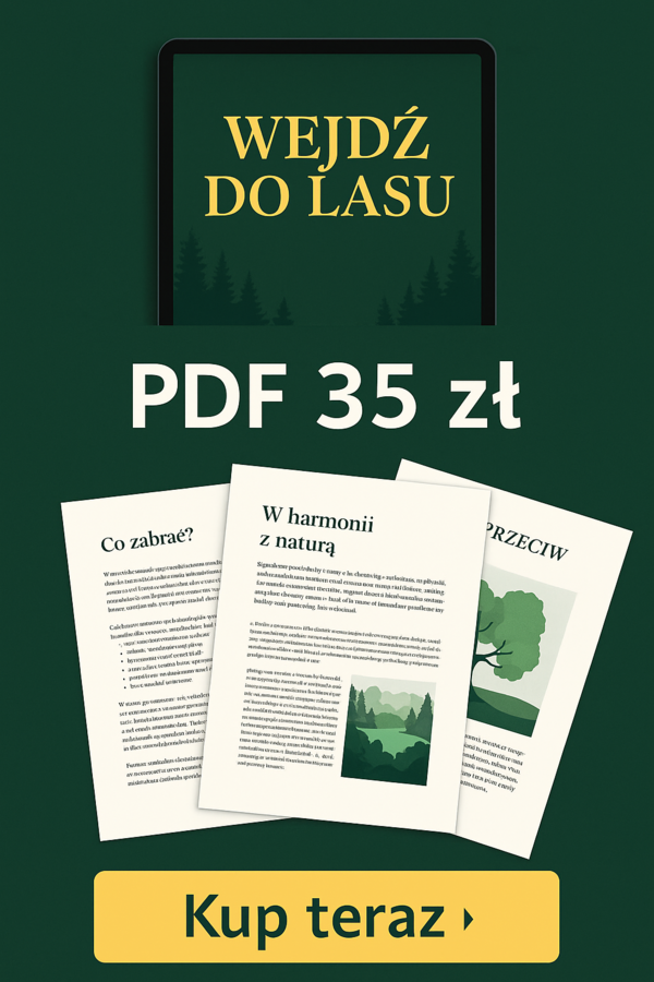 E-book „Ścieżki w lesie wiedzy”