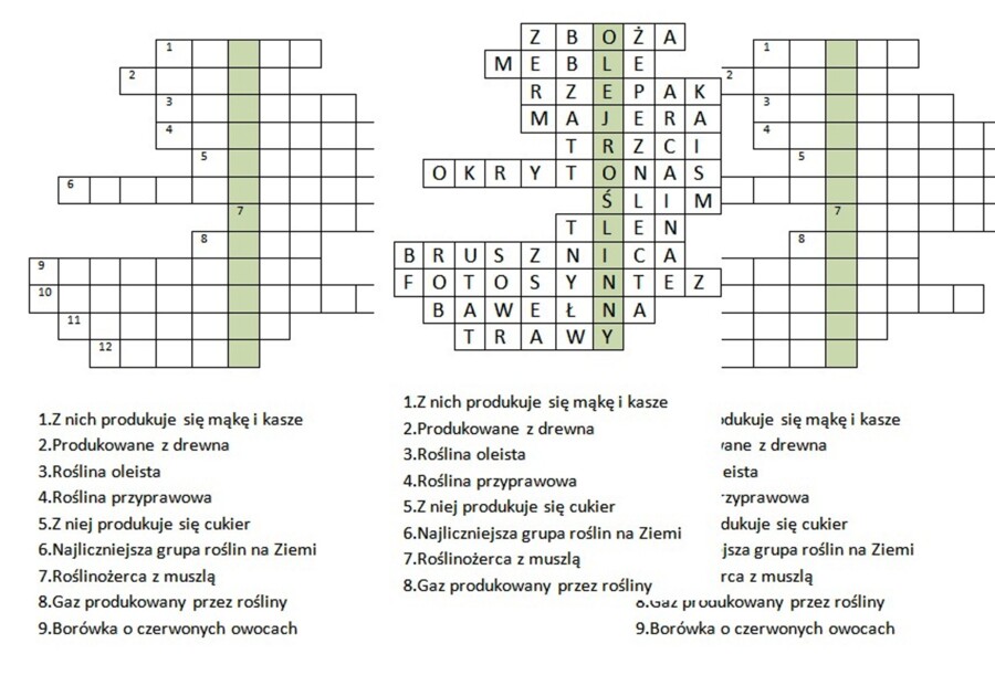 Logogryf dla klasy 5 na podsumowanie lekcji o znaczeniu roślin okrytonasiennych