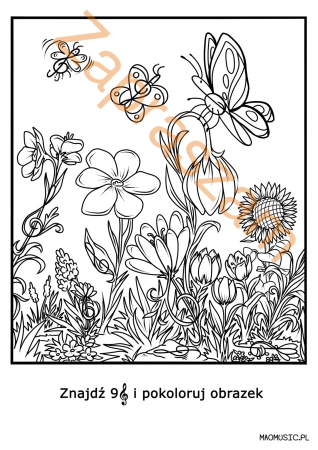 Bystre oko/ klucz wiolinowy/ łąka