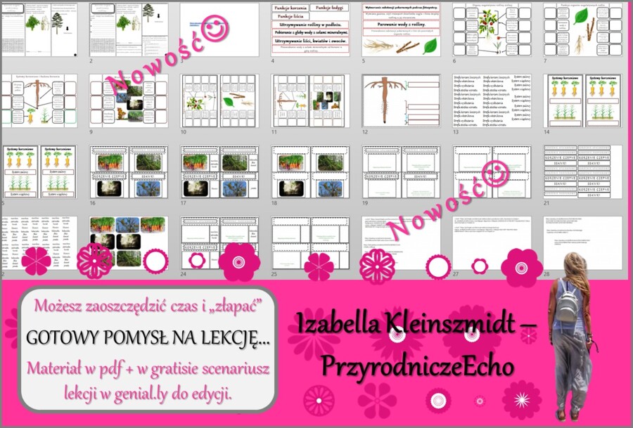 Pomysł na lekcję/karta pracy/stacje zadaniowe/materiał do lekcji do tematu „Korzeń – organ podziemny rośliny” w pdf. W gratisie niekomercyjny scenariusz lekcji/pomysł na lekcję w programie genial.ly do edycji. Biologia 5. Dział „Tkanki i organy roślinne”