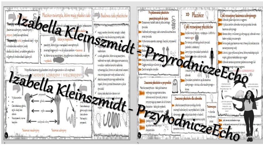 Sketchnotka - notatka „Płazińce – zwierzęta, które mają płaskie ciało” wykonana w power point do edycji. Biologia 6; „Od parzydełkowców do pierścienic”