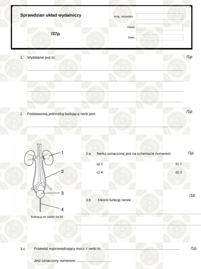 Sprawdzian układ wydalniczy klasa 7
