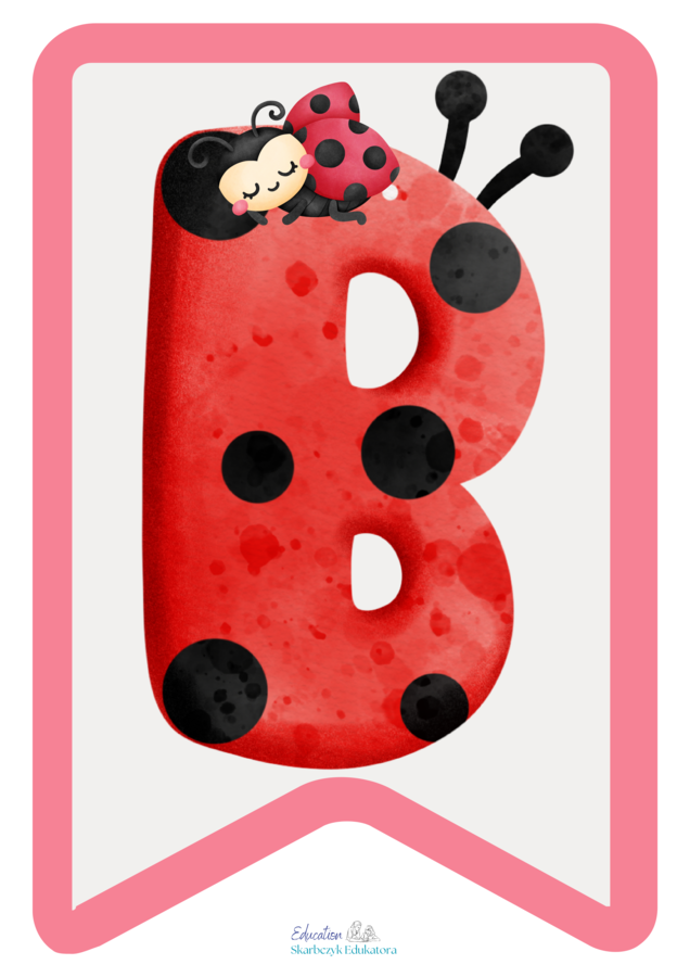 GRUPA BIEDRONECZKI / BIEDRONKI