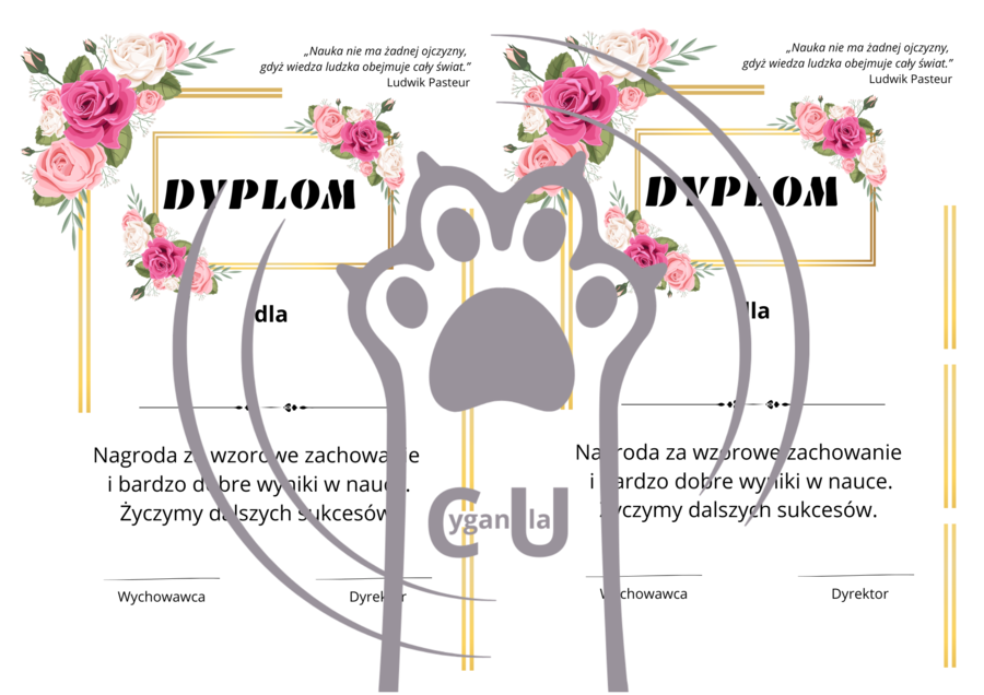 Dyplomy / wkładki na zakończenie roku szkolnego