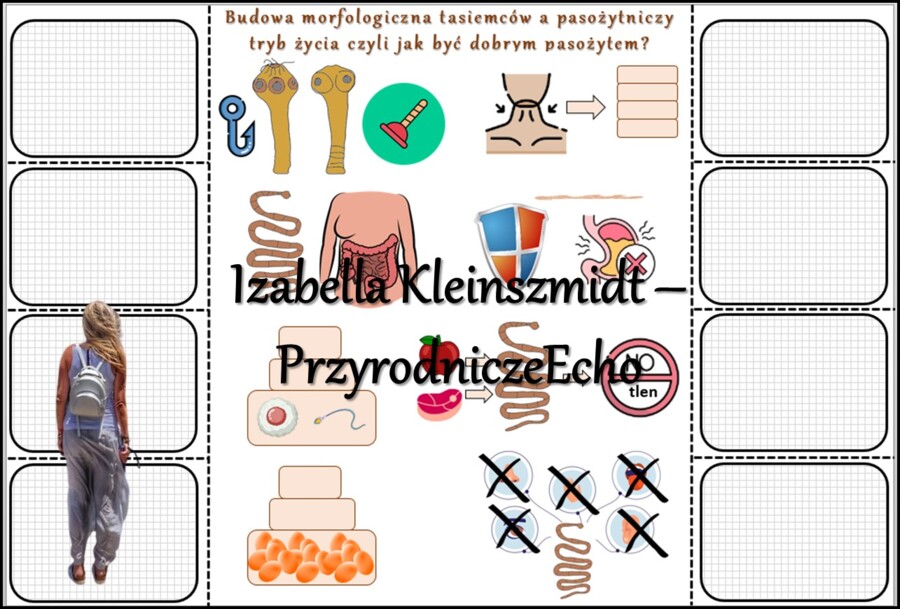 Notatka okienkowa/stacja zadaniowe/notatka interaktywna/notatka graficzna/karta pracy/sketchnotka „Płazińce”, „Płazińce - zwierzęta, które mają płaskie ciała” w pdf. Biologia 6 , dział „Od parzydełkowców do pierścienic”. Materiał wykonany na podstawie po