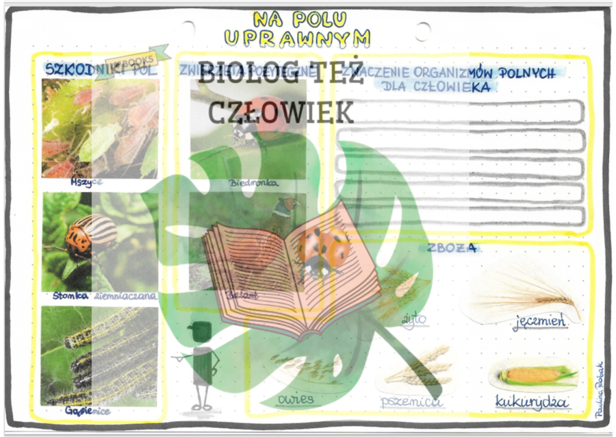 Na polu uprawnym - kolor