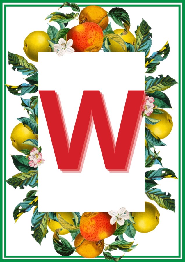 GIRLANDA: 28 WRZEŚNIA DZIEŃ JABŁKA