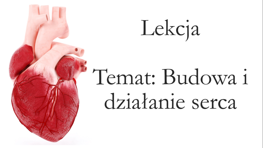 Klasa 7 - Budowa i działanie serca - prezentacja