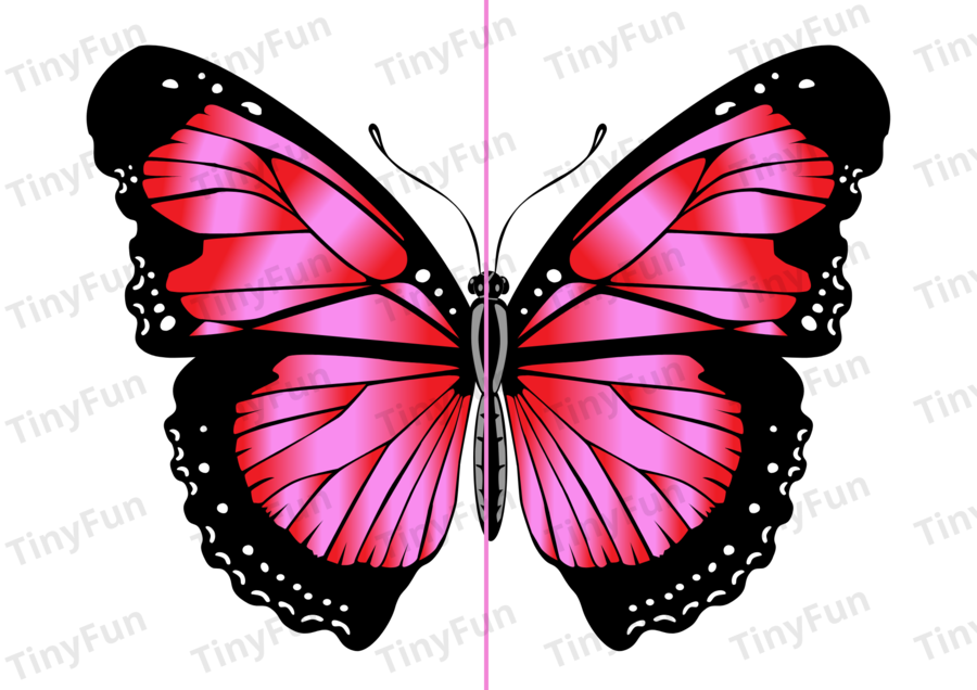 Kolorowe motyle 🦋 łączenie połówek | wiosenna zabawa,  PDF do druku