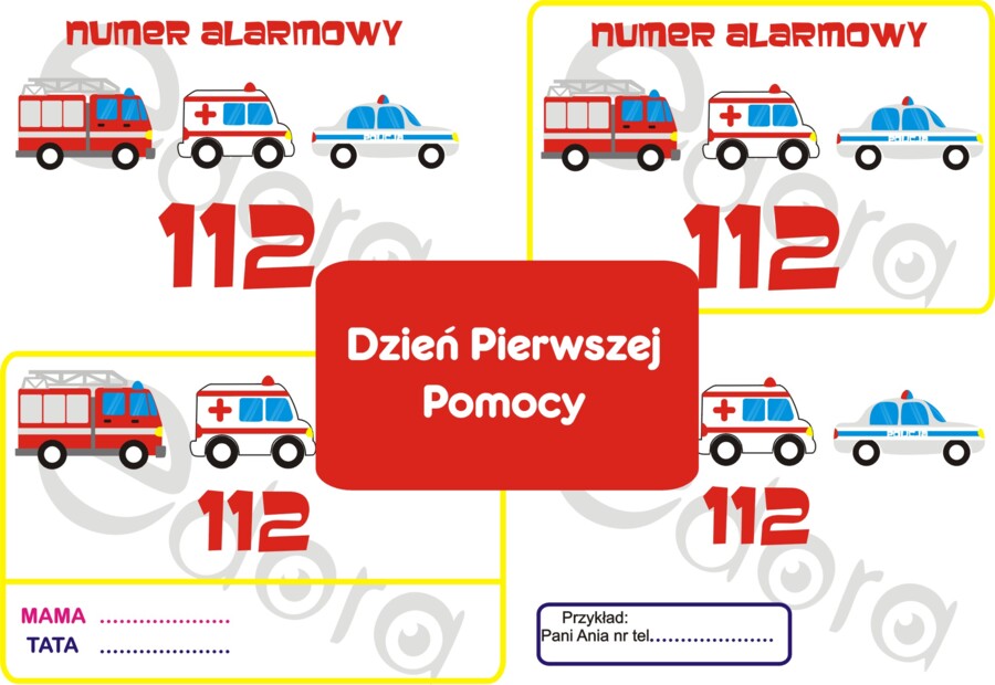 Dzień Pierwszej Pomocy