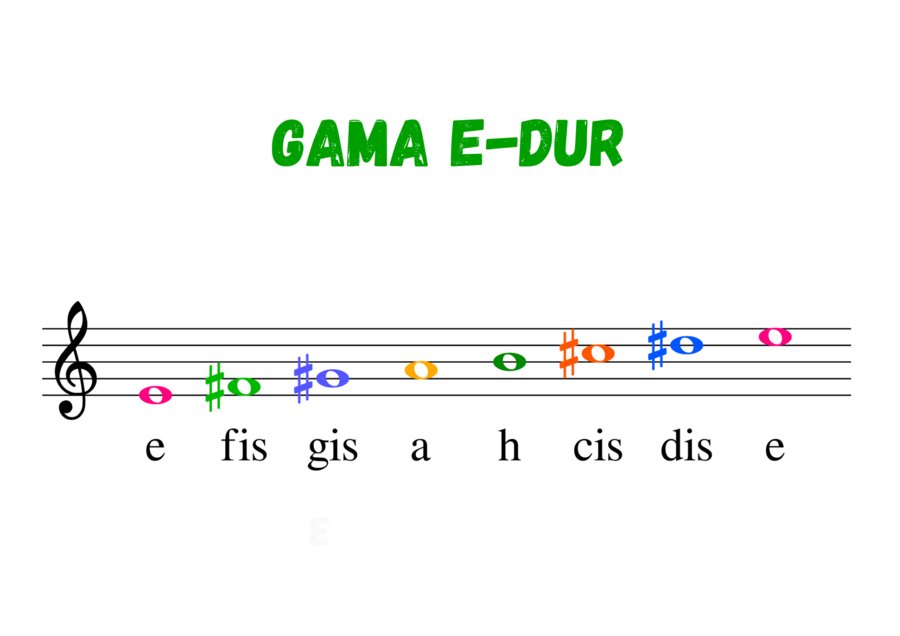 Muzyka. Nauka nut. Gama E-dur w kluczu wiolinowym. Duża, kolorowa czcionka.