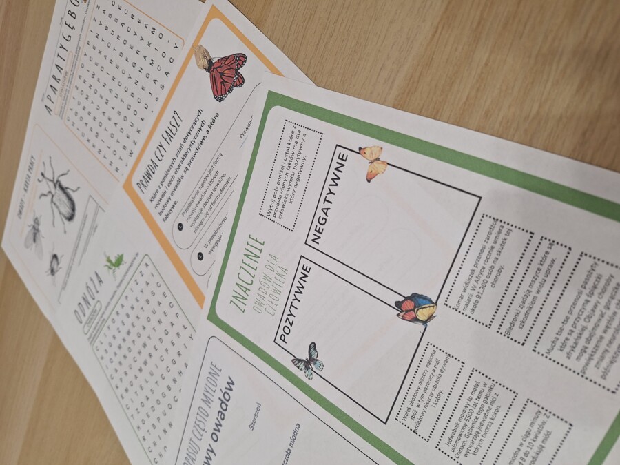 Owady - nowoczesna karta pracy