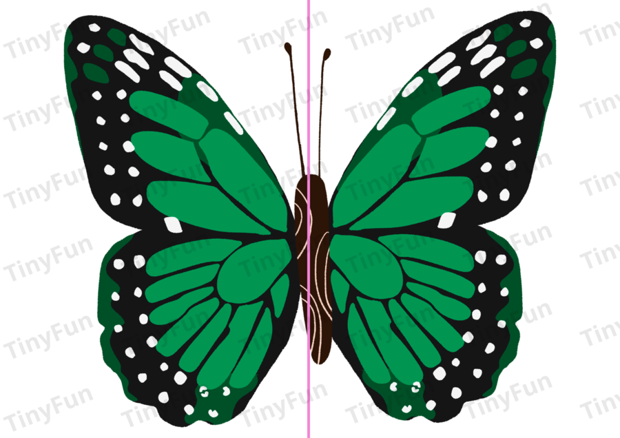 Kolorowe motyle 🦋 łączenie połówek | wiosenna zabawa,  PDF do druku