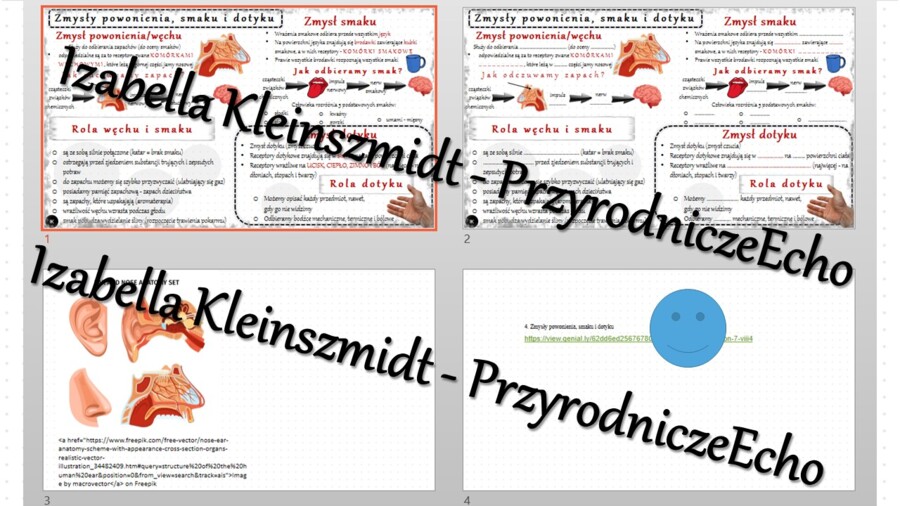 Minizestaw na temat „Zmysły powonienia, smaku i dotyku” – sketchnotka + karta pracy w power point + gratisowy link do prezentacji multimedialnej niekomercyjnej wykonanej w genial.ly do indywidualnego pobrania i użycia do celów niekomercyjnych. Biologia 7