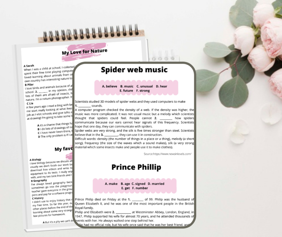 E8 Reading comprehension Czytanie ze zrozumieniem egzamin ósmoklasisty A2+