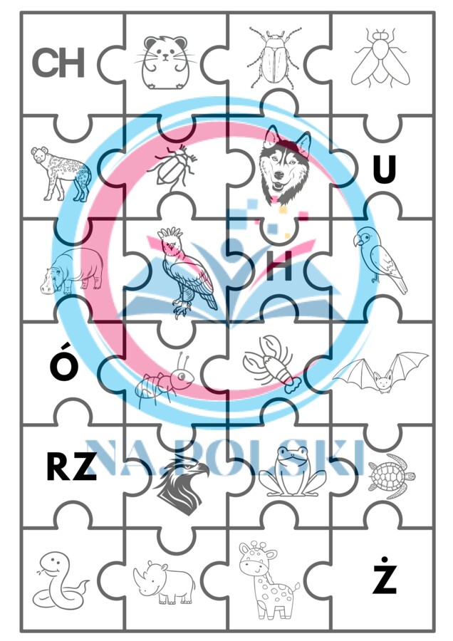 Ortograficzne puzzle