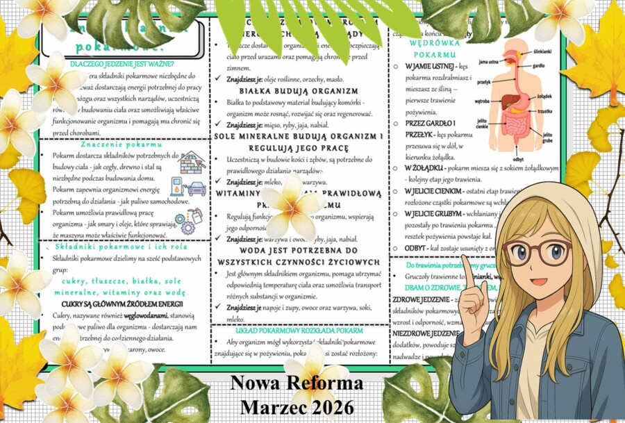 Sketchnotka/notatka - dla ucznia i przypomnienie dla nauczyciela w pdf. Temat "Poznaję składniki pokarmowe". Przyroda 4. "Odkrywam przyrodę" zgodna z wydawnictwem Nowa Era. Dział "Jak działa moje ciało?".