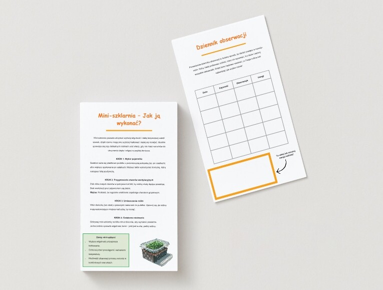 Własny mini-ogród lub mini-szklarnia. Sadzenie roślin w słoikach, doniczkach z recyklingu. Dziennik obserwacji