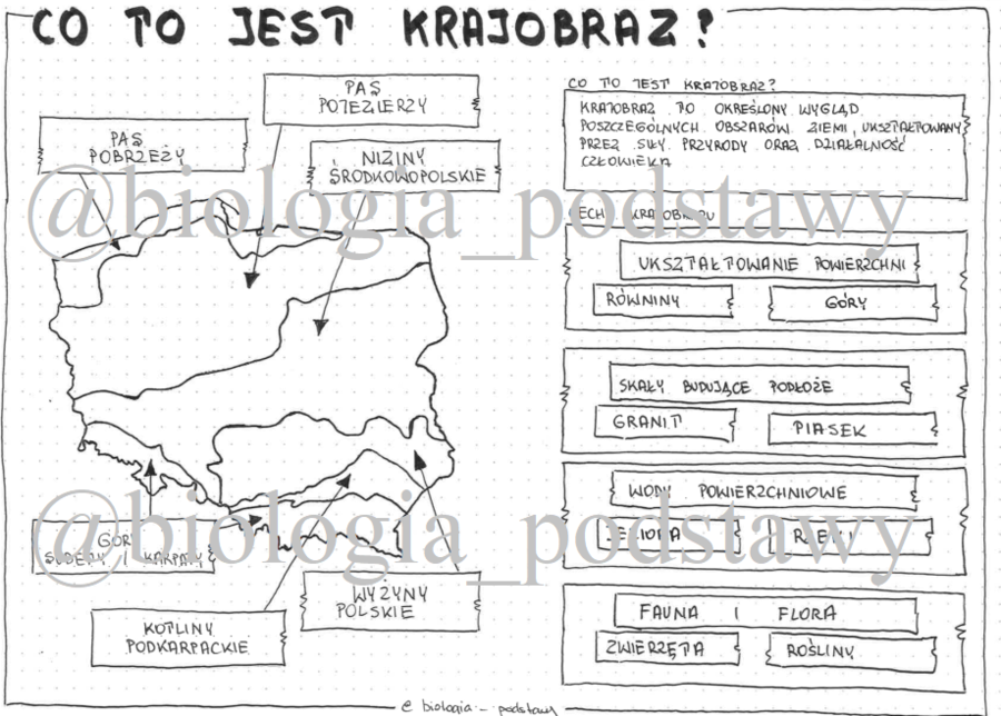 Klasa 5 - Co to jest krajobraz? - sketchnotka