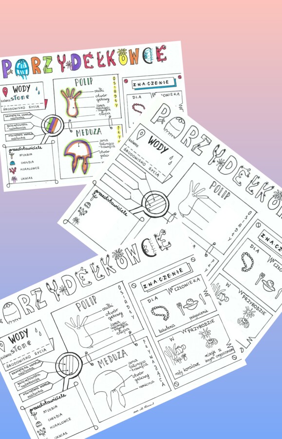 Parzydełkowce - klasa 6