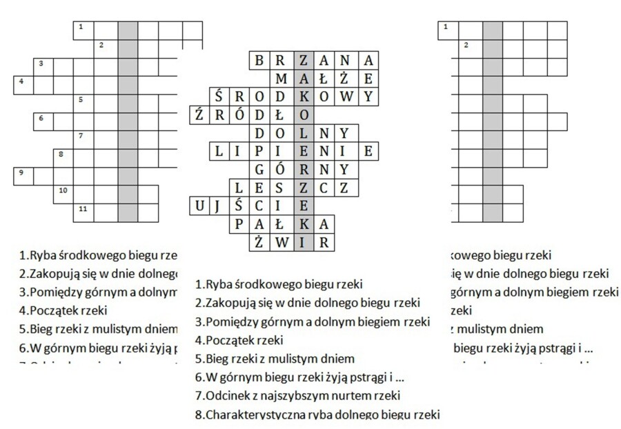 Logogryf dla klasy 4 na podsumowanie lekcji przyrody o rzece