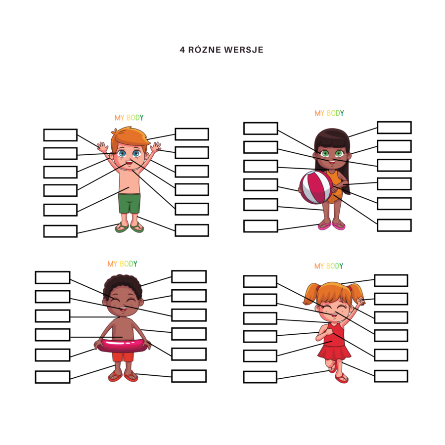 My body set - zestaw do nauki części ciała, organów oraz 5 zmysłów, CLIL