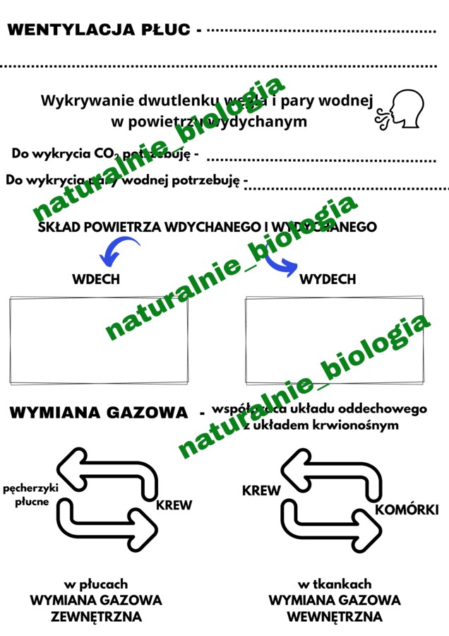 Wentylacja płuc - notatka