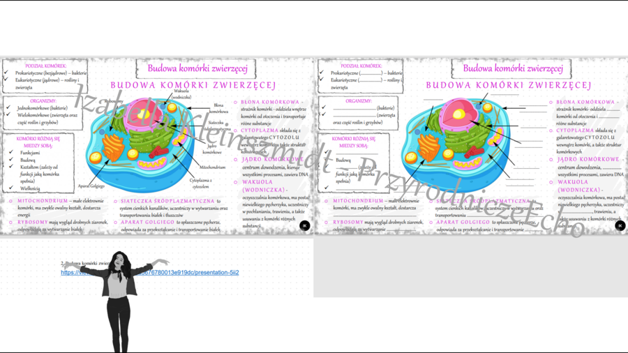 Mini zestaw do tematu „Budowa komórki zwierzęcej” - sketchnotka + karta pracy + gratisowy link do prezentacji multimedialnej niekomercyjnej wykonanej w genial.ly do indywidualnego pobrania i użycia do celów niekomercyjnych. Biologia klasa 5, dział II „. 