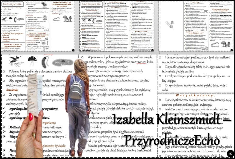 Książeczka/sketchnotka/notatka/wklejka/ściąga dla ucznia i przypomnienie dla nauczyciela/edukacja domowa. Temat „Cudzożywność” w pdf. Biologia 5, dział „Budowa i czynności życiowe organizmów”. Nowość 2024/2025.