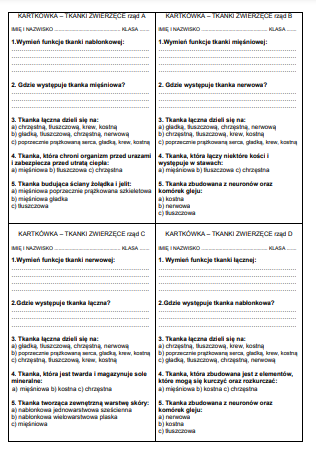 TKANKI ZWIERZĘCE - KARTKÓWKA