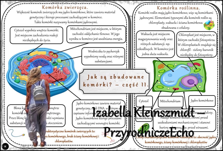 Sketchnotki/notatka/streszczenia/wklejki/ściągi dla ucznia i nauczyciela. Temat „Jak są zbudowane komórki?” w pdf. Biologia 5 dział „Organizacja i chemizacja życia”. Wykonana na podstawie podręcznika z wydawnictwa WSiP.