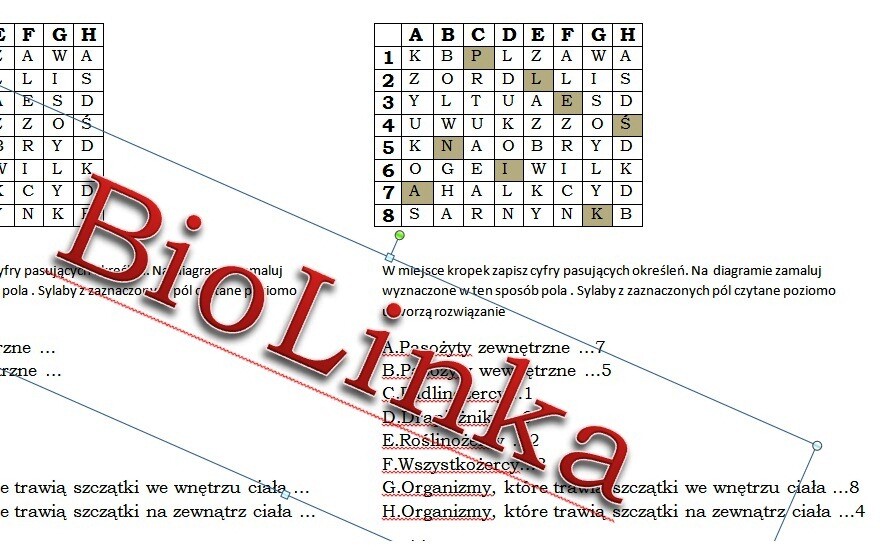 Kodowanka dla klasy 5 na podsumowanie lekcji o cudzożywności