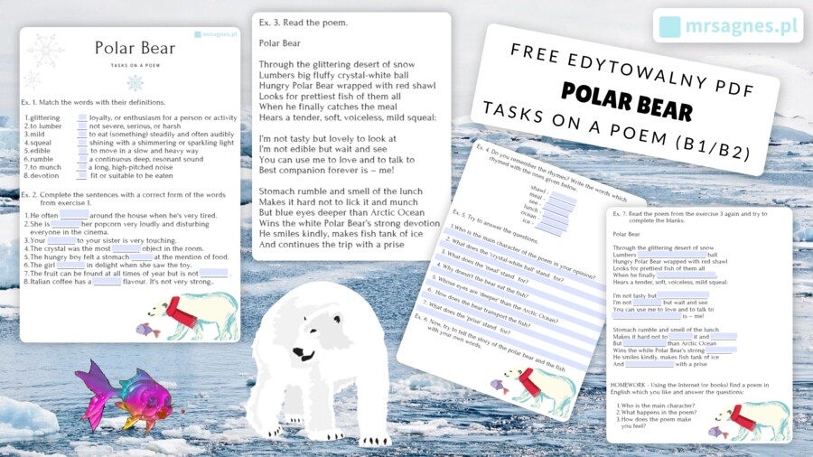 gotowa lekcja POLAR BEAR tasks on a poem B1/B2