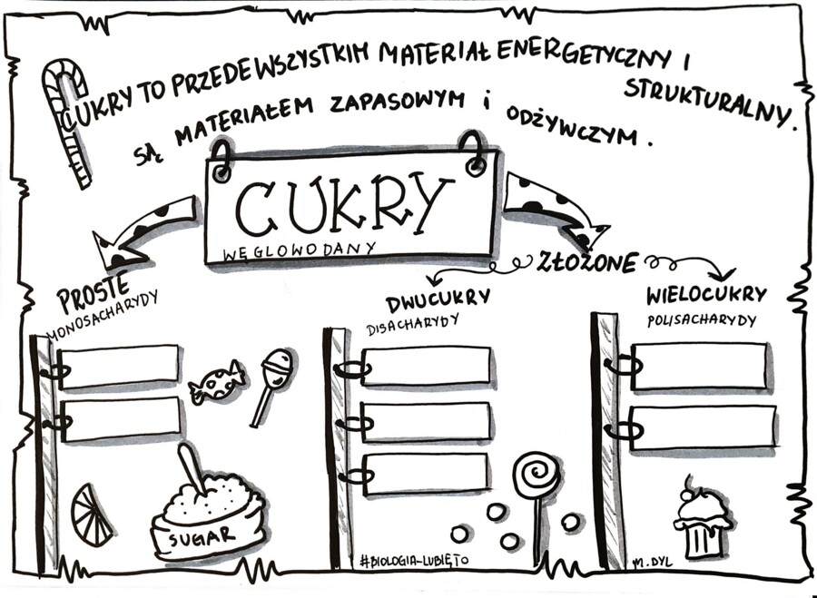 Klasa 7. Biologia. Cukry (dwie karty pracy: kolorowa + do uzupełnienia)