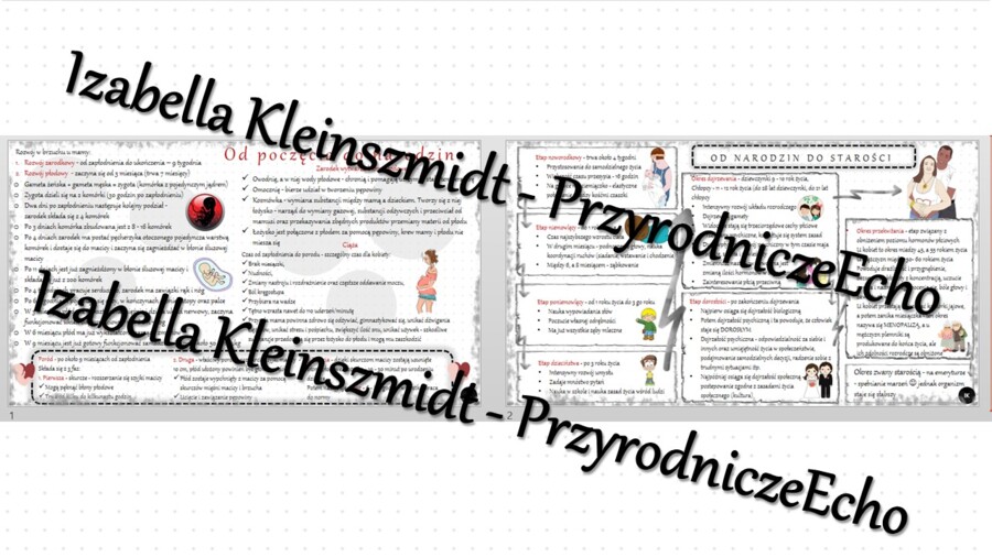 Sketchnotka - notatka „Rozwój człowieka -od poczęcia do starości” wykonana w power point do edycji. Biologia 7; „Rozmnażanie i rozwój człowieka”