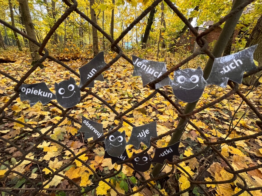 Nietoperze - ortografia - końcówki u - zasady - Halloween