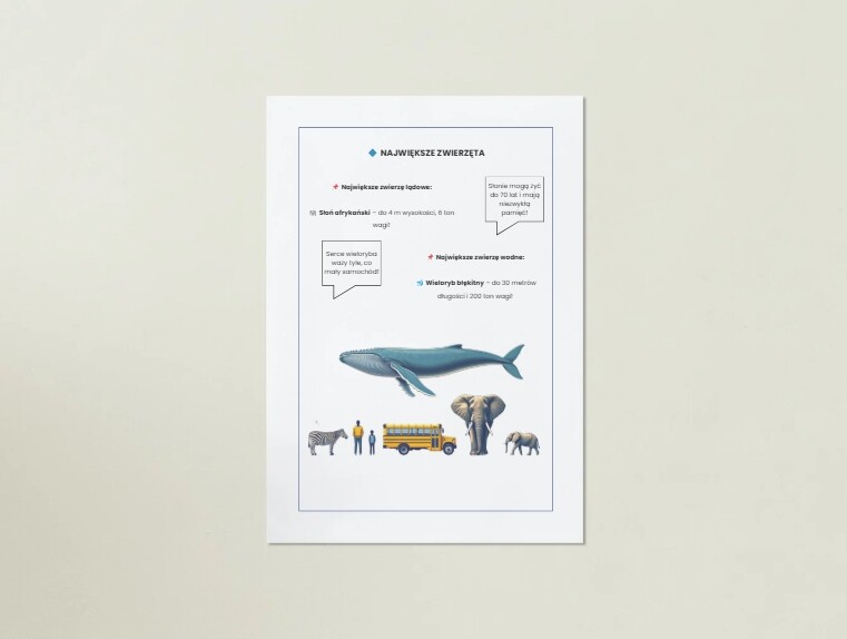 Plakaty przedstawiające ekosystemy, zwierzęta, rośliny, ochronę środowiska.