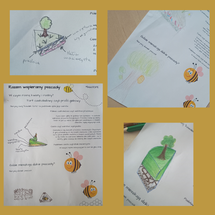 Wspieramy pszczoły - karta pracy #beeYOPE
