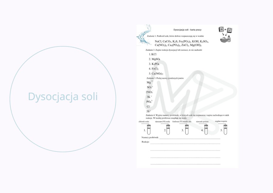 Dysocjacja soli - karta pracy