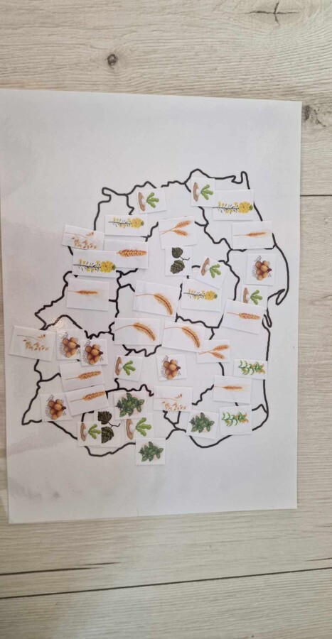 "Produkcja roślinna w Polsce/do zalaminowana/układanka/puzzle/rozmieszczenie upraw w Polsce/rozpoznawanie gatunków w pdf. „Produkcja roślinna”. Geografia 7 "Rolnictwo i przemysł Polski"