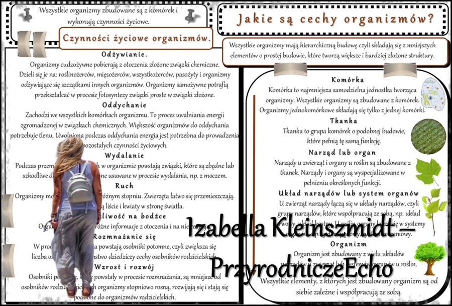 Sketchnotka/notatka/streszczenie/wklejka/ściąga dla ucznia i nauczyciela. Temat „Jakie są cechy organizmów?” w pdf. Biologia 5 dział „Organizacja i chemizacja życia”. Wykonana na podstawie podręcznika z wydawnictwa WSiP.