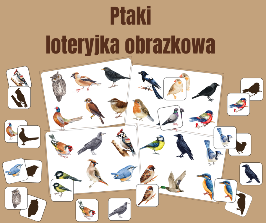 Ptaki - loteryjka obrazkowa