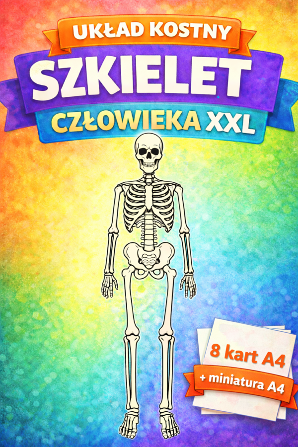 SZKIELET CZŁOWIEKA – pakiet: kolorowanka XXL + miniatura A4; plakat, układanka, karta pracy; układ szkieletowy; układ kostny